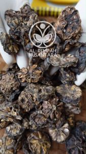 Buah Mengkudu Kering 50gr Oven