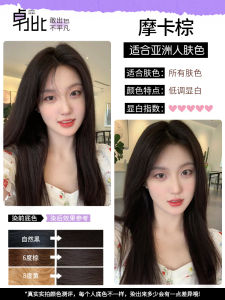 Pure Natural Black Tea Brown Mocha Plant-Based Hair Dye Cream Glossy Shiny Womens Hair Coloring Agent from Guangzhou China