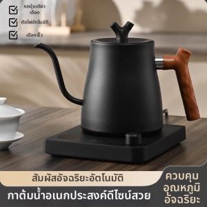 YOUNAI | Long Spout Electric Kettle for Tea and Coffee 110V