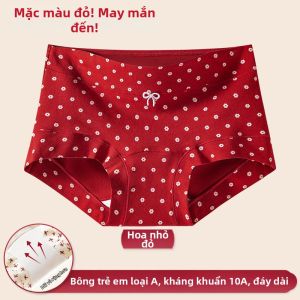 YUNASHA | Quần Lót Tam Giác Chống Khuẩn Bằng Cotton cho Bé Gái và Thiếu Nữ
