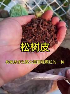 Orchid Planting Medium Bark Fermentation Mulch