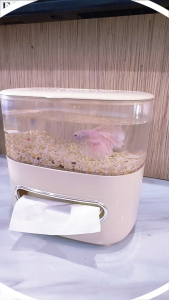 [AquaBox.my] 2-in-1 Mini Aquarium Tissue Box Aesthetic Decor Space Saving Relaxing Atmosphere Mini Aquarium Tissue Box 2-in-1 Design Perfect Decor