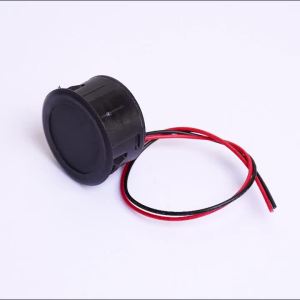 Round DC 4-100V LED Digital Display Circular Two-wire Voltmeter DC Digital Voltmeter Head Display Reverse Connection Protection