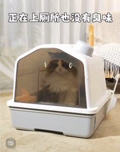 [SG INSTOCK] Fully Enclosed Cat Litter Box Two Door entrance Full enclosed litterbox for Cats Kitty Portable Anti-splash