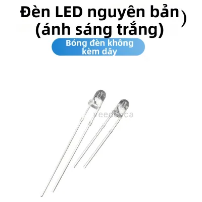 Phụ Kiện Thuyền Mồi Câu Cá Chính Hãng