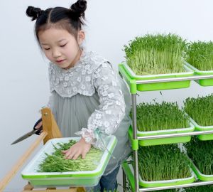 1 Bộ Khay Ươm Mầm Hai Lớp Đĩa Trồng Cây Chậu Ươm Cây Giống Lúa Mì Dụng Cụ Trồng Cây Làm Vườn Tại Nhà