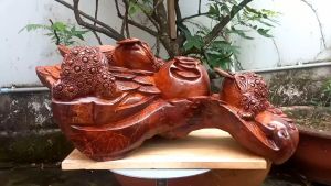 Cóc Thiềm Thừ Ngậm Vàng - Tượng Phong Thủy - Trang Trí Nhà Cửa Decor - Quà Tặng Ý Nghĩa - Quà Tặng Tân Gia Khai Trương