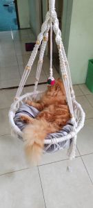hammock ayunan kucing murah