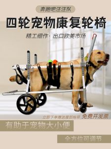 Paralyzed Dog Older Dog Wheelchair Labrador Alaska Golden Retriever Four-Wheel Dog Wheelchair Disabled Dog Car Large Dog