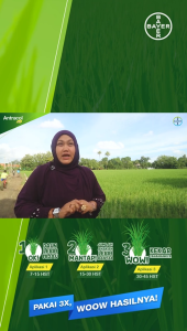 Mellink Stick 2L Perekat Perata Pembasah Penembus Pestisida Tanaman