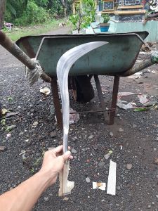 Arit baja per untuk berkebun gagang model kepala burung