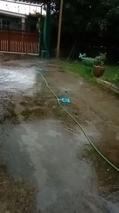 ชุดสปริงเกอร์ 1 ชุด 2 ตัว สีเทียบเข้าก็อกได้เลย รวม สายยาง 5 เมตร 2 เส้น พร้อมส่วนประสบการณ์