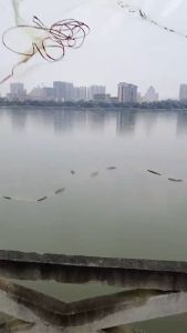 12kaki 1inch Shrimp fishing net Shrimp catching Traditional hand cast net old style hand cast fishing net old style hand cast net hand cast fishing net fishing line spinning net swinging net fishing net