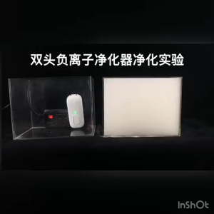Dual-Head Negative Ion Air Purifier - Plug-In Design - Silent Operation - Formaldehyde & Odor Removal