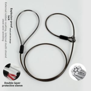 Jiaxun | Doberman Anti-Charging Training Lead