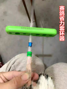 Pigeon Carrier Pigeon Supplies Supplies Foot Ring Tebi Ring Pigeon Lantern Ring Energy Saving Pigeon Lantern Ring Device Young Pigeon Ring Device
