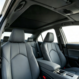 ANXINGLETU | Electric Sunshade For Toyota Camry IX
