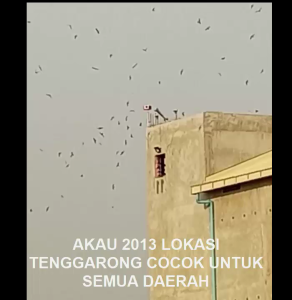 King Birahi Akau 2013 Produksi Akau Jaminan Asli 100% Original Garansi Resmi 1Tahun flashdisk