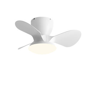 HUANGJIANG | Modern Simple Ceiling Fan Light
