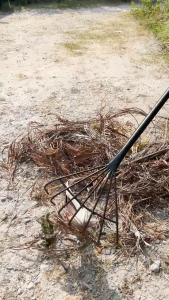 คราดมือเสือ พร้อมด้ามจับ คราดมือเสือ 7 ซี่ คราดใบไม้ กิ่งไม้ โกยหญ้า  ด้ามจับเหล็ก