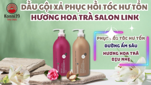 DẦU GỘI XẢ PHỤC HỒI TÓC HƯ TỔN HƯƠNG HOA TRÀ SALON LINK (CHAI 1 LÍT)