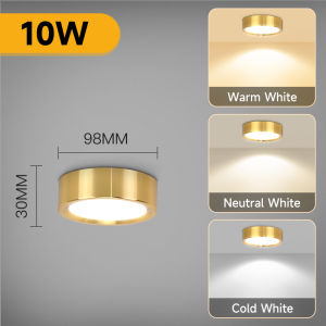 LED Ceiling Light Surface Mounted Downlight 5W 10W 15W Spot Led Light Ultra Thin 3 Color Panel Lamp for Living Room Home Decor