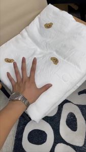 2024Summer Ice Cool Thin Quilt Comforter Soft Air Conditioning Quilt/Duvet/Blanket Bed 150 Single Bed Quilt