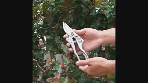 Alloy Garden Plant Scissors Tree Thick Branch Scissor Pruning Shears Pruning Scissors