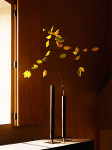 Wabi-Sabi Iron Artistic Simple Living Room Decorative Chinese Style Black Thin Flower Vase