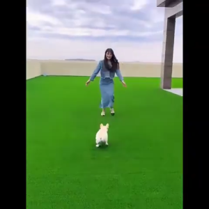 Artificial Grass Carpet Fake Grass Plastic Garden Decoration Simulation Garde and Lawn 人造草皮