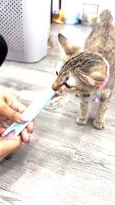 YTL ขนมแมวเลีย แพค5ชิ้น ไม่แต่งกลิ่น ไม่ใส่สารกันบูด ไม่ใส่เกลือโซเดียมต่ำ น้องแมวชอบถูกใจ