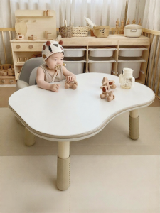 BEIESTATE | Adjustable Dual Use Children Study Table and Chair Set