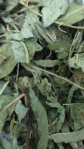 薄荷叶 100g 薄荷 Pepper Mint Leaf Pepper Mint Peppermint Herbs Pudina