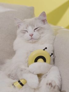 Lược chải lông - bàn chải massage có nút bấm gom lông cho chó mèo thú cưng hình Ong – Đen Ta pet shop