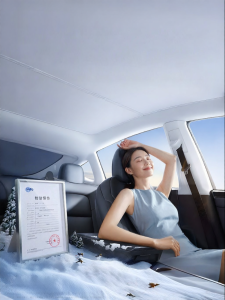 FULANKA | Double Layer Sunshade for Tesla Sunroof