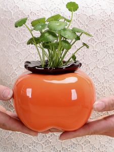 Creative Persimmon Vase Hydroponic Green Dill Hydroponics Flowerpot Ceramic Lucky Persimmon Scandinavian Living Room Table Decoration Ornaments