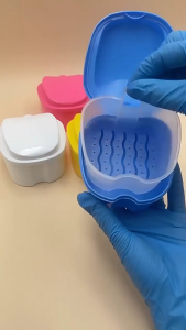 Denture Bath Box Case False Teeth Storage Box With Hanging Net Container Portable Orthodontic Storage Case Cleaning Case