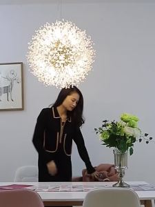 Modern Living Room and Dining Room Dandelion LED Lighting Chandelier Flame Dragon Fireflies Star Fire Store Lighting Fixture