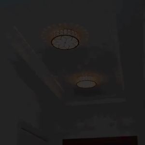 Modern Flower Gold Design Crystal Ceiling Aisle Lights Fashion Corridor Stairs Entrace Plafonnier Lamp for Porch Hall Lighting