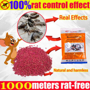 100% rat control effect racun tikus Buy 1 Get 2 Free 150g mouse dies outside the house and does not stink ubat tikus paling berkesan rat bait made from wheat 老鼠藥 Rat poison