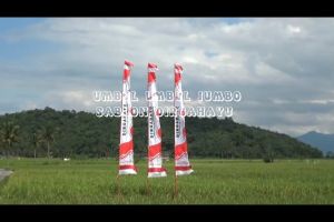 UMBUL UMBUL JUMBO DIRGAHAYU POLOS 35METER