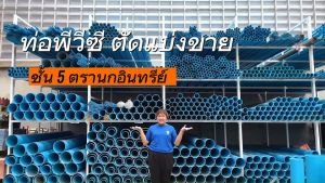 The important attributes "ท่อ PVC", "ตรานกอินทรีย์และตราสามบ้าน", "ตัดแบ่งขายยาว", "1.5 เมตร (ปลายเรียบและปลายบาน)", "มีขนาด", "2