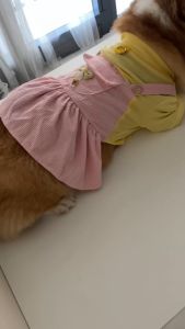 QA°06 Kawaii Fashionable Corduroy Overall Jumper with Ring Leash for Dog and Cat