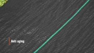 Weedmat Weed Mat Penutup Tanah Kawalan Rumput Hijau/Hitam 90gsm/100gsm 50M/100M/200M Weed Control Mat Garden Pertanian Plastic防草布