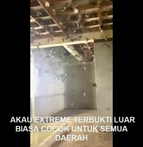 PANGGIL AKAU EXTREME ASLI 100% ORIGINAL GARANSI RESMI 1TAHUN FLASHDISK