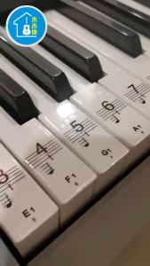 Keyboard Piano Sticker Transparent 49 61 Key Electronic Keyboard 88 Key Piano Stave Note Sticker