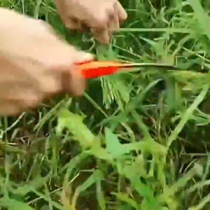 [HCM]Liềm Cắt Cỏ Siêu Bén Làm Từ Thép Đặc Biệt Sử Dụng Cắt Cỏ Lúa Cây Trồng Nông Nghiệp-Joyee