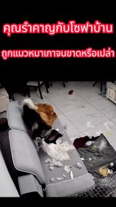 [LIULIU MEI]พรมทรงกลม สกรีนลาย ลาย แผ่นเสียง/ ขนาด 60x60 cm/ 80x80 cm.