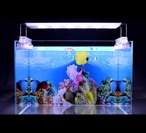 Aquarium Decoration Background Painting Fish Tank 3D Sticker Poster Aquarium Landscape Ocean Marine Plants Backdrop Accessories