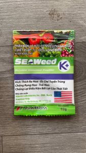 SEAWEED K+ (Vĩnh Thạnh) – PHÂN BÓN LÁ HỮU CƠ CHIẾT XUẤT 100% TỪ RONG BIỂN - Phục Hồi Cây Suy - Cầm Bộ Lá Dưa Hấu - gói 10g